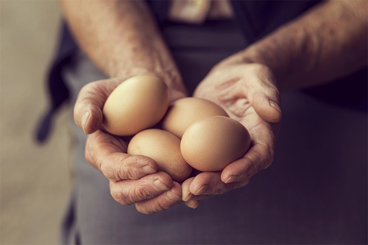 Los huevos y sus nutrientes: Un alimento a reconsiderar