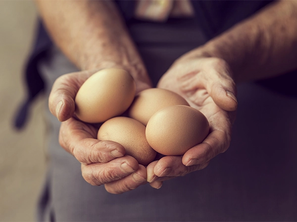 Los huevos y sus nutrientes: Un alimento a re ...