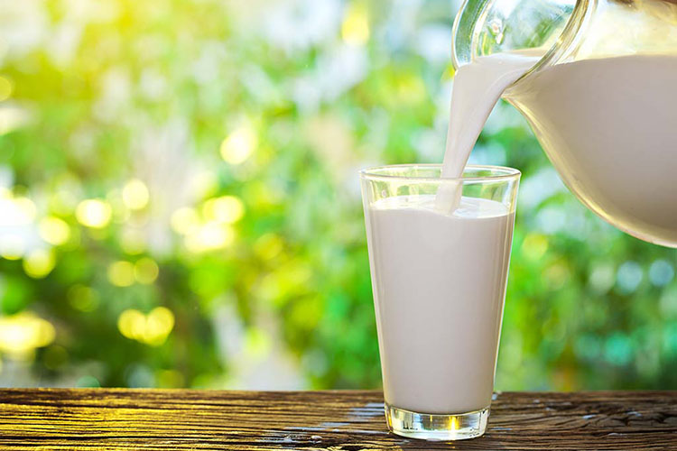 ¿Son efectivos los lácteos con esteroles vegetales?